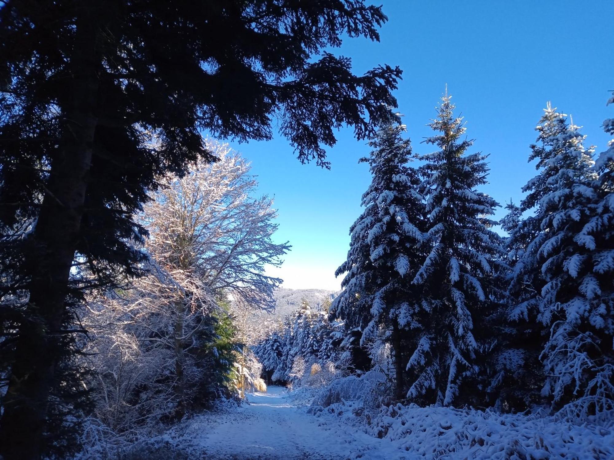 Gite Des 3 Etangs Malvières Exteriör bild